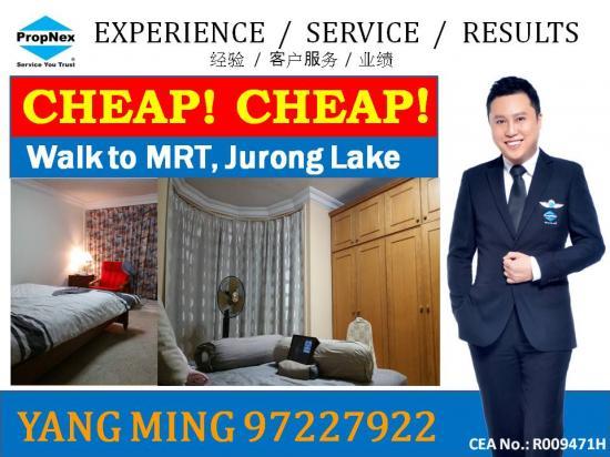 Blk 333 Kang Ching Road (Jurong West), HDB Executive #93488752